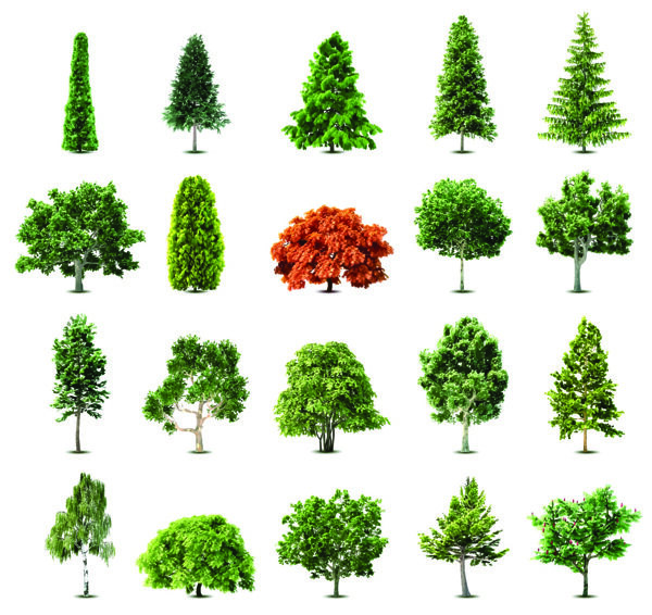 树木图片合集好抠图绿色