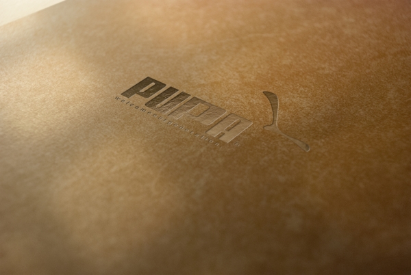 LOGO樣機(jī)素材0372