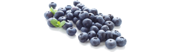 新鲜的一堆蓝莓免抠psd透明素材