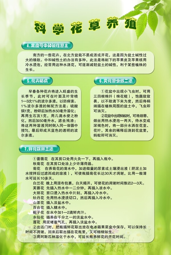科學花草養(yǎng)殖