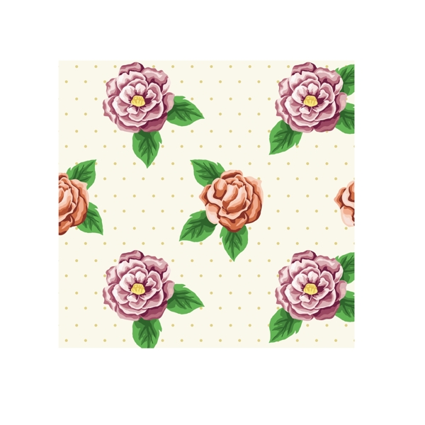 牡丹花圖片