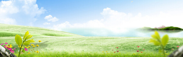 清新綠色草地banner背景素材