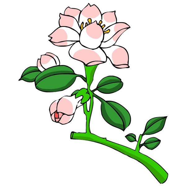 花卉古典插畫