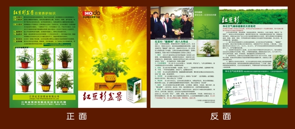 單頁圖片