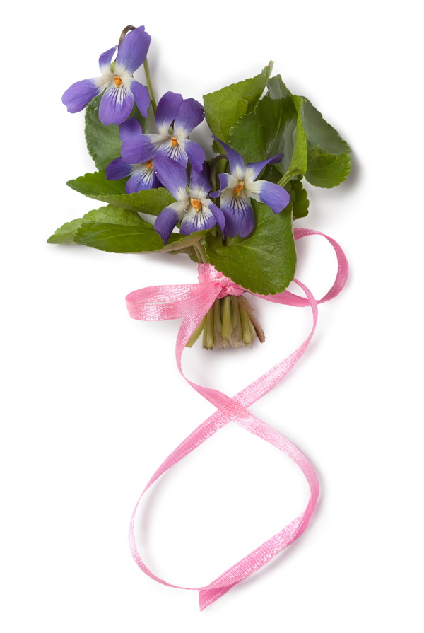 絲帶捆綁的花束