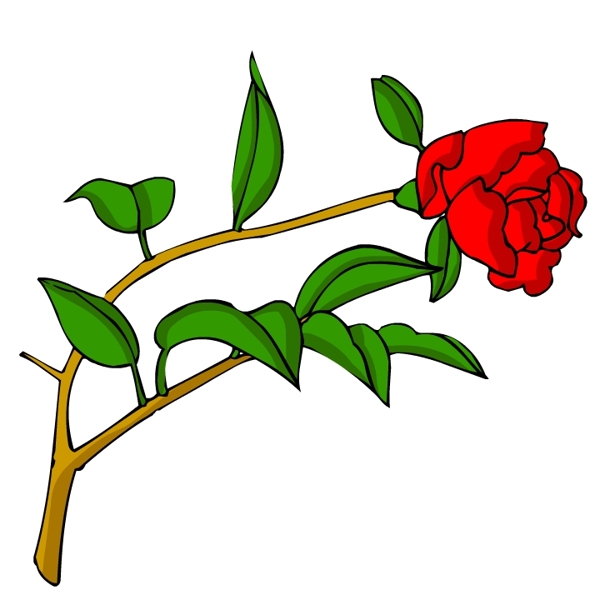 花卉古典插畫