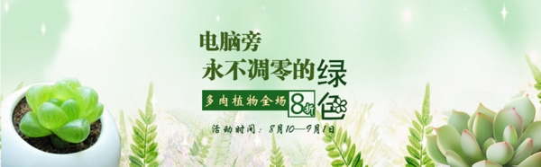 多肉植物Banner圖片