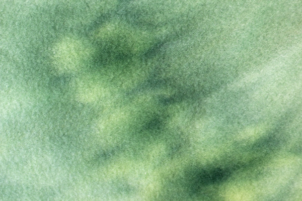 布紋理33