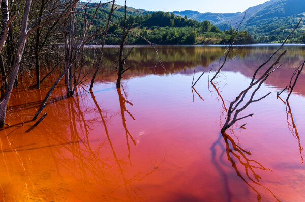 湖水污染变色