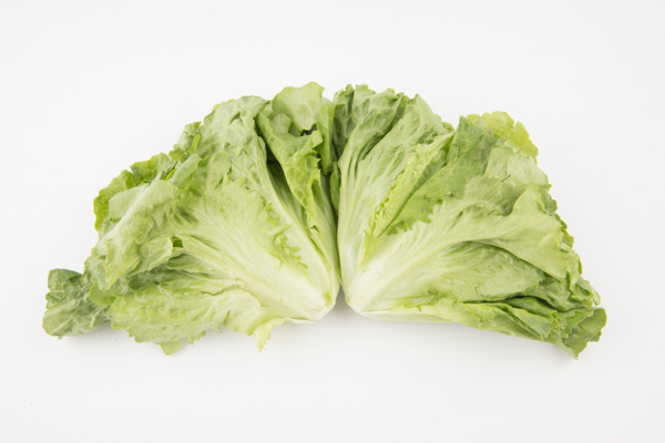 生菜