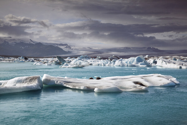冰川消融图片