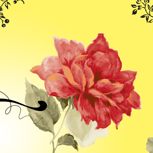 玫瑰花