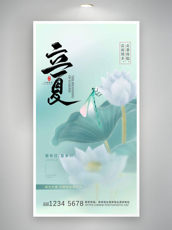 立夏蜻蜓白色荷花插畫純色背景海報