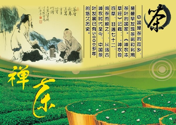 茶園背景圖圖片