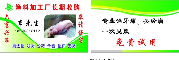 收購淘汰豬名片
