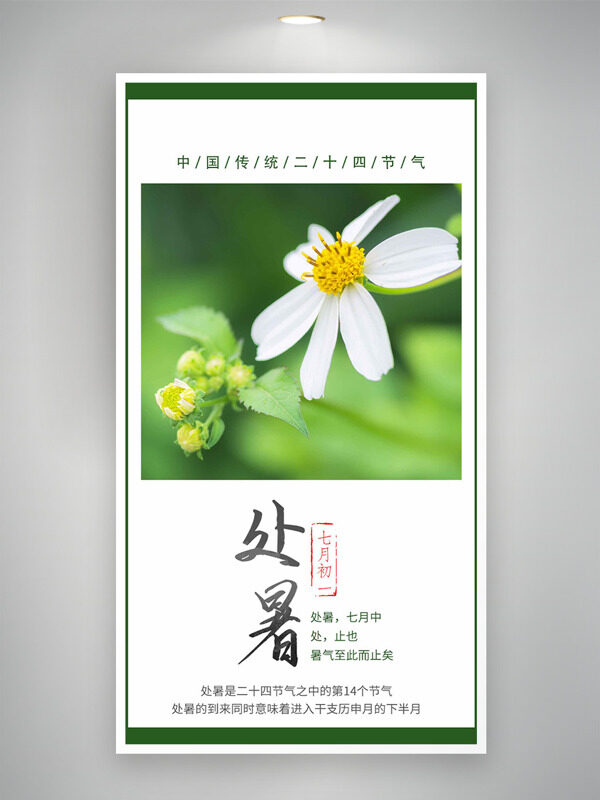 中國(guó)傳統(tǒng)二十四節(jié)氣白色花朵處暑海報(bào)
