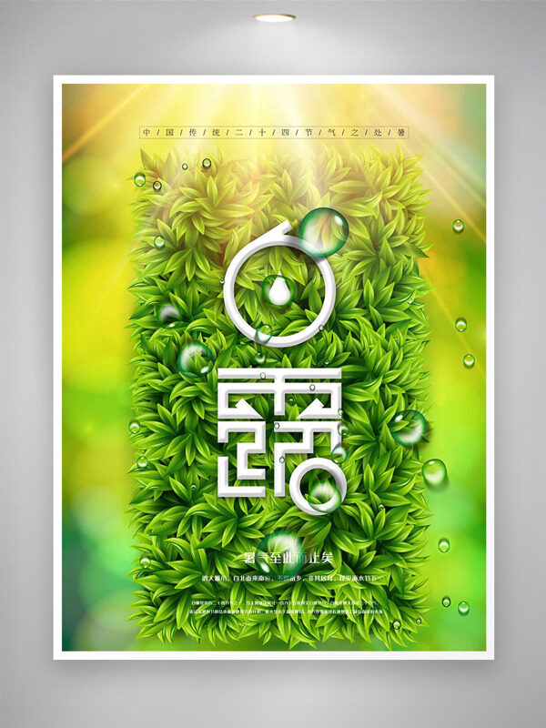 綠色植物水珠插畫明媚光線白露節(jié)氣海報