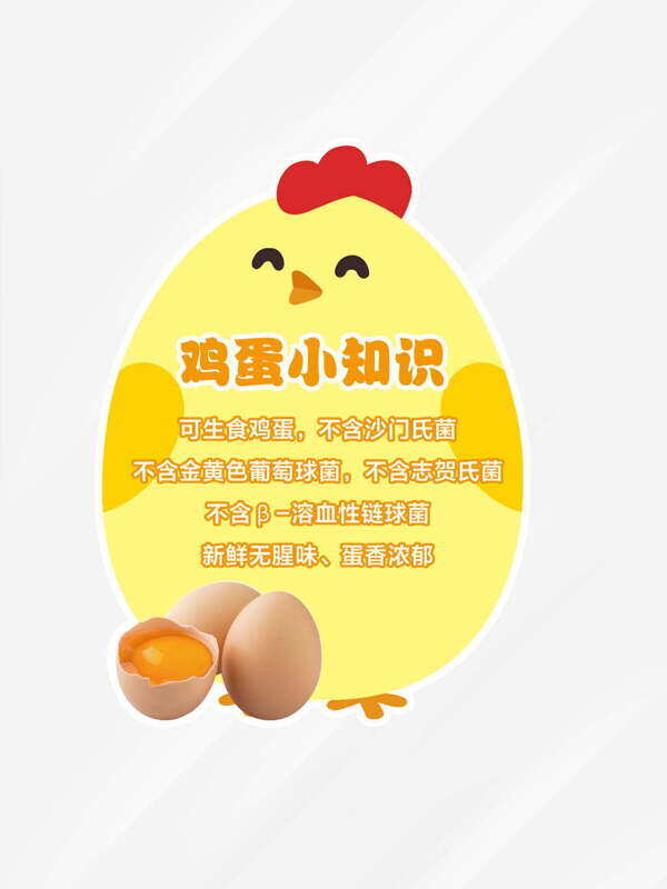 雞蛋小知識趣味卡通黃色異形手舉牌