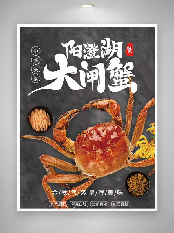陽(yáng)澄湖大閘蟹金秋氣爽中華美食海報(bào)