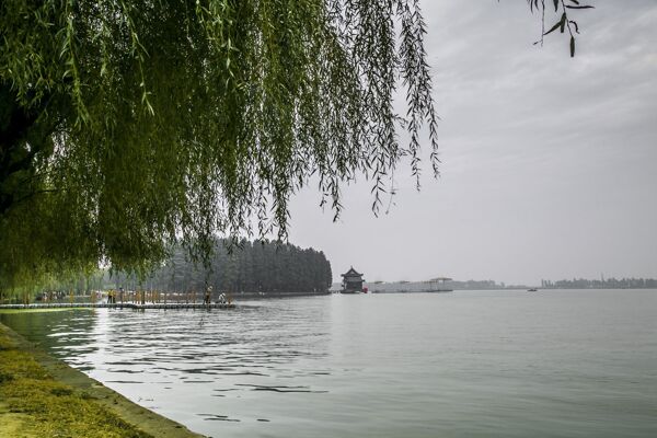 美麗的湖邊風景圖片
