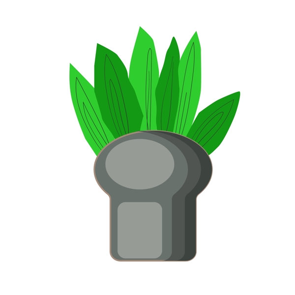 绿色植物图案
