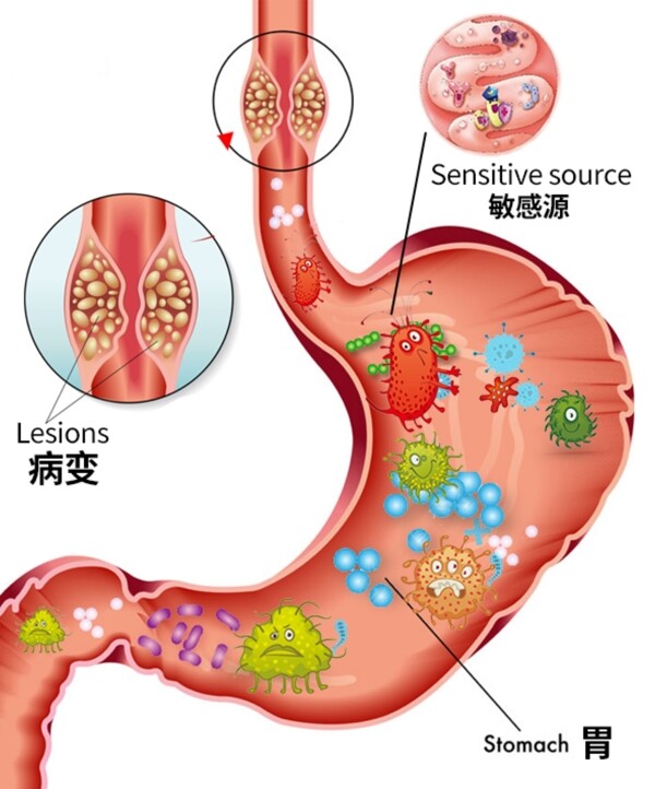肠道细菌图装饰图案