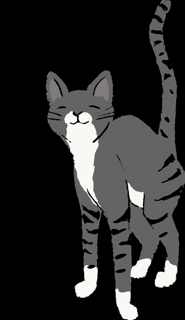 深灰色怂腰微笑的猫透明猫咪素材