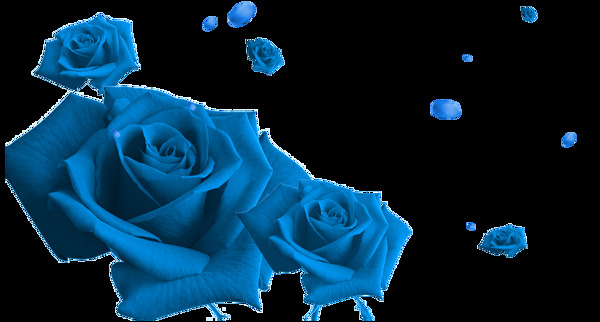蓝色玫瑰漂浮花瓣png元素素材