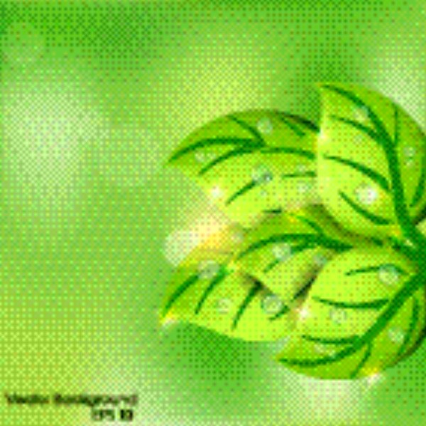清新綠葉矢量素材