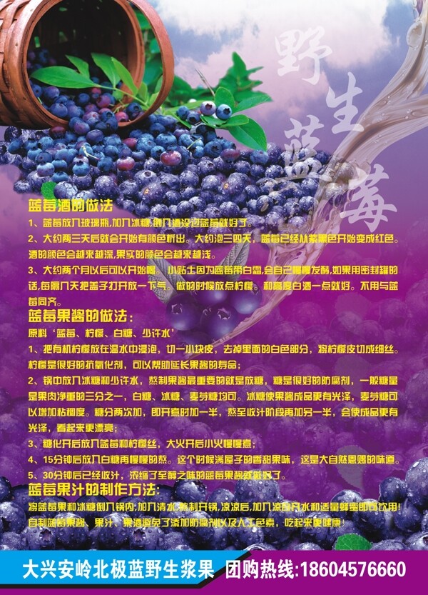 蓝莓酒宣传单图片