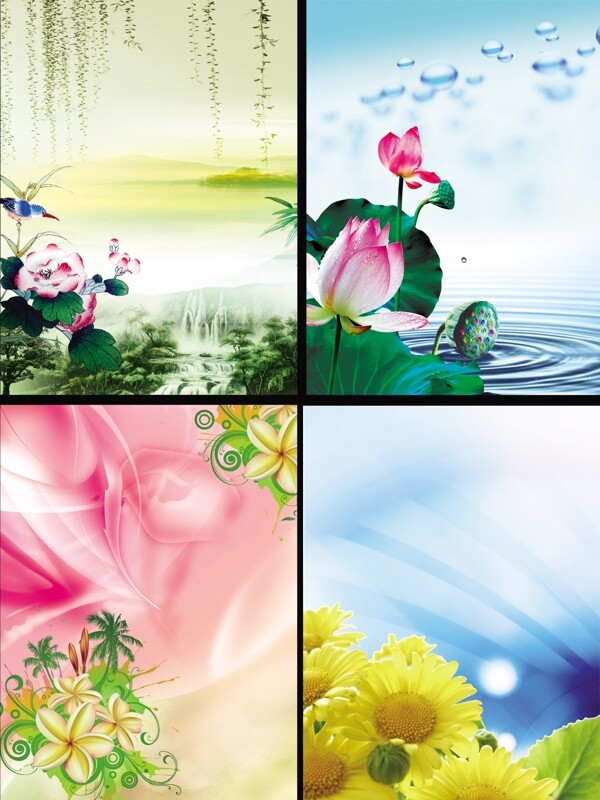 鮮花背景展板圖片