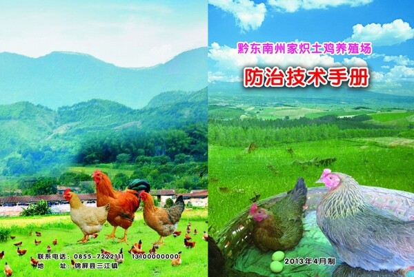 養(yǎng)殖場封面圖片