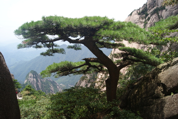 黃山
