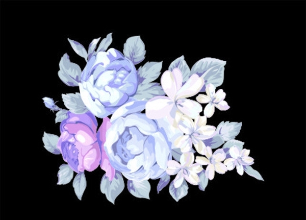 花朵圖片