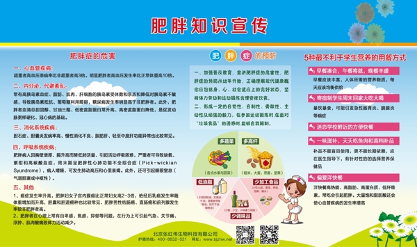小學生預防肥胖知識宣傳