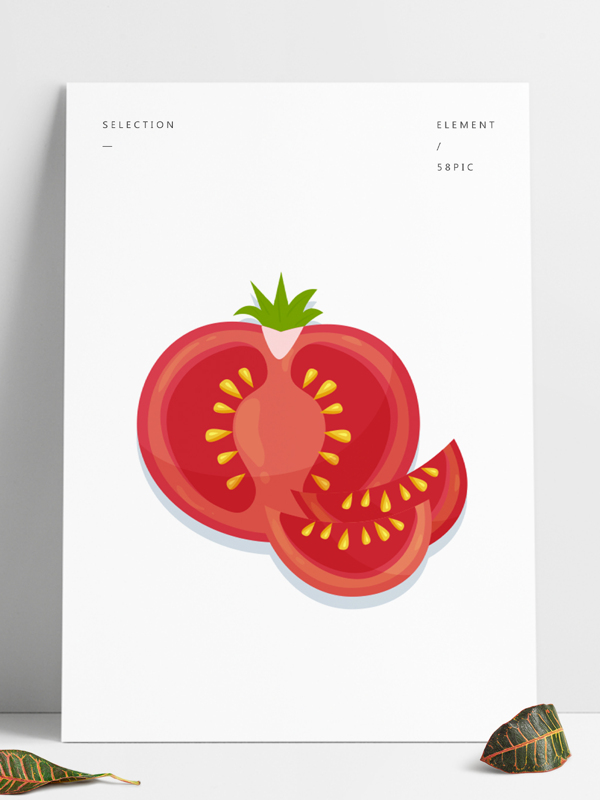 矢量手绘植物蔬菜西红柿