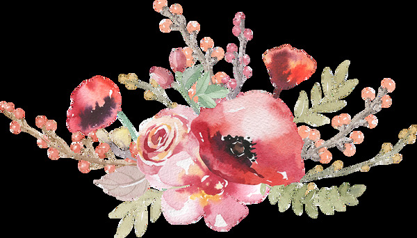 明信片装饰花卉卡通透明装饰素材