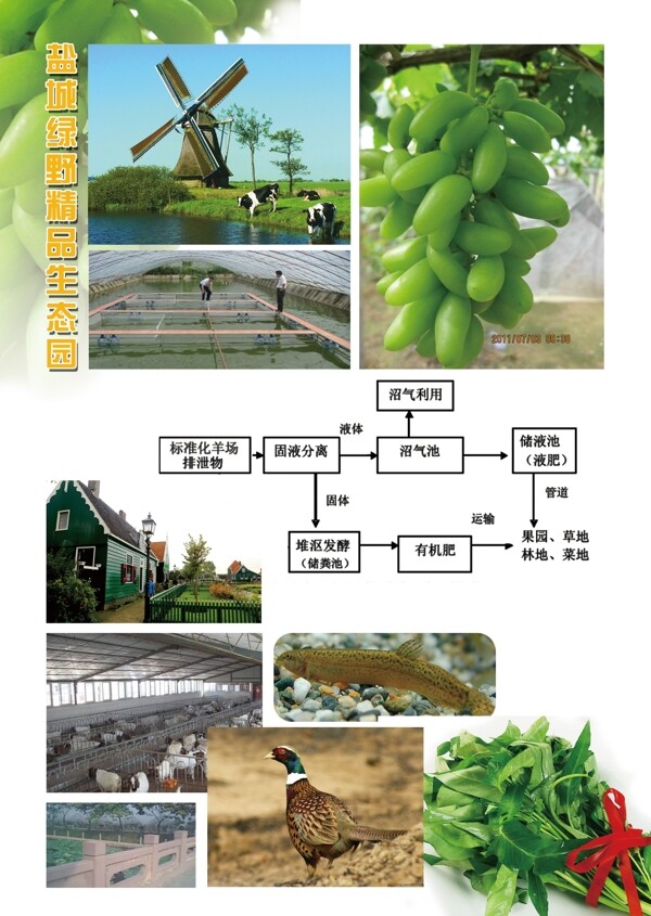 农业生态园图片