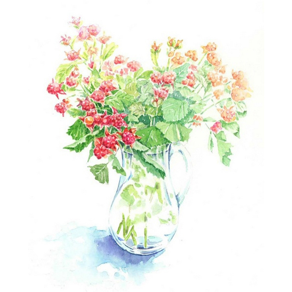 位圖植物寫意花卉花朵野花免費(fèi)素材