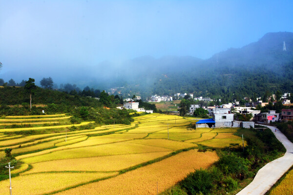 乡村风景