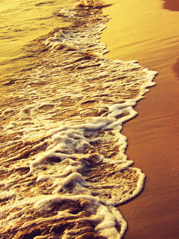黄金海滩图片