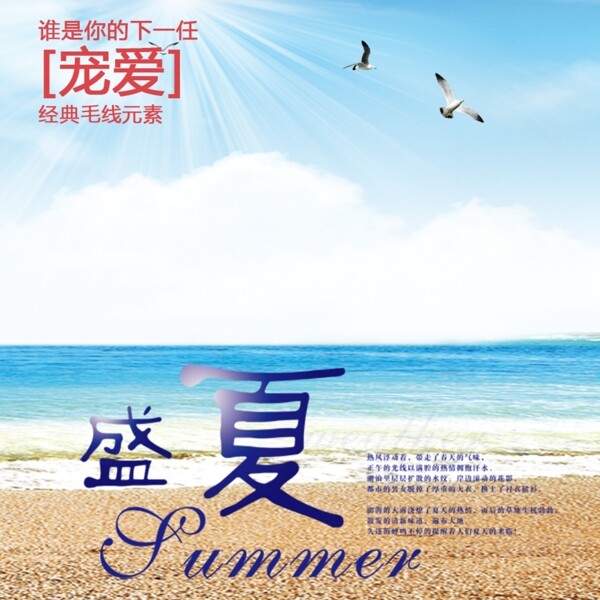 盛夏的海滩海报专用