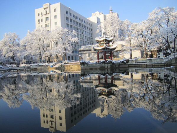 北京交通大学图片