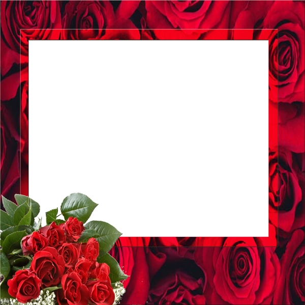 红玫瑰水晶相框