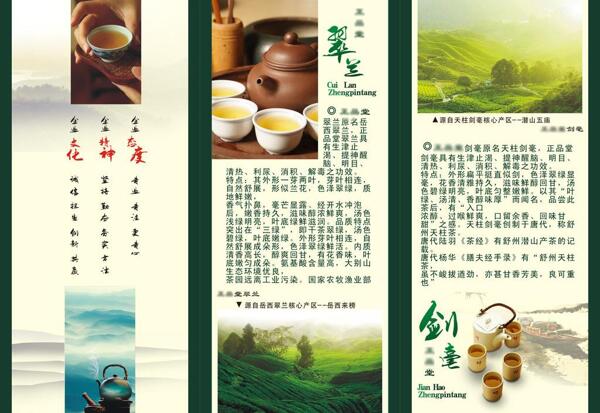 绿茶宣传页图片