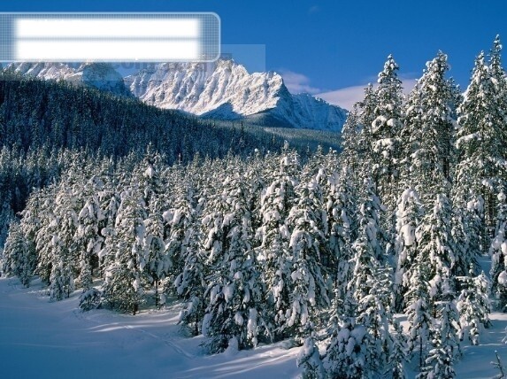 摄影自然山水风景景观冰雪世界雪山树林雪景