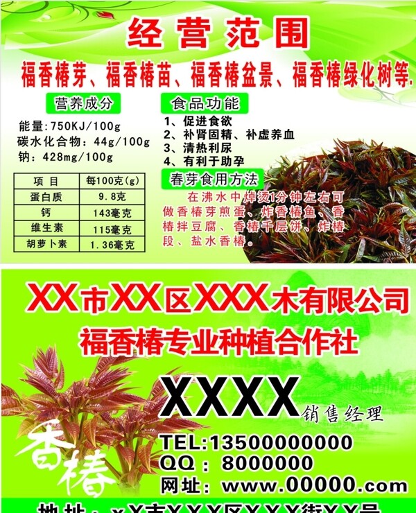 香椿名片图片