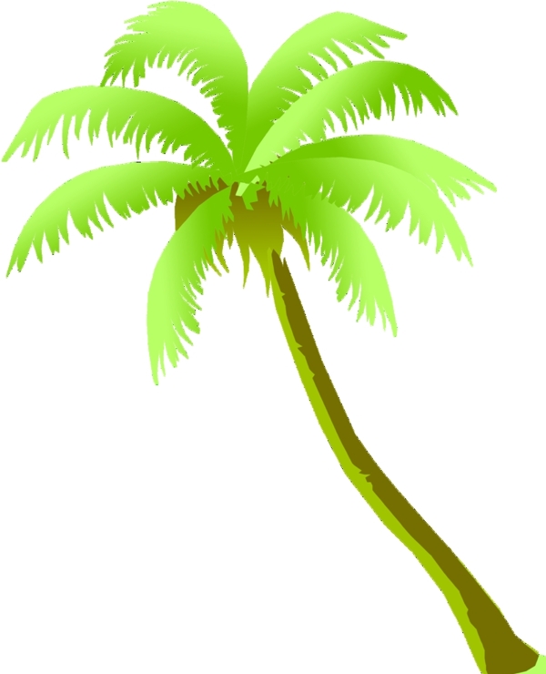 椰子树椰子插画