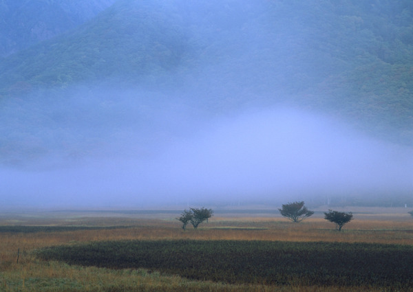 山景山林