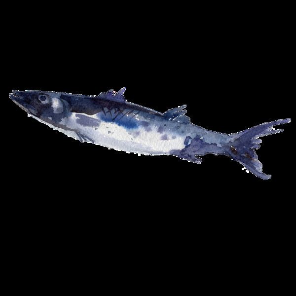 灰蓝色鱼水彩手绘透明素材